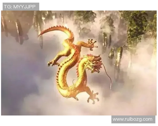 可兰白克的传奇人生与不屈精神探索之旅